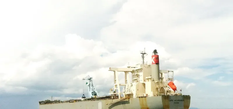 CAPE JACARANDA Bulk Carrier IMO 9446594