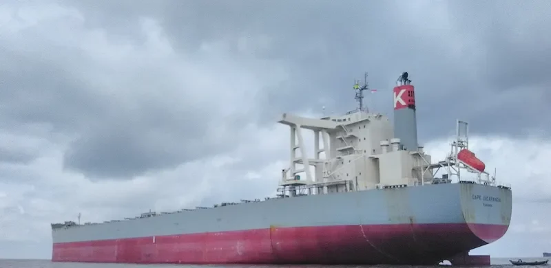 CAPE JACARANDA Bulk Carrier IMO 9446594 photo 5