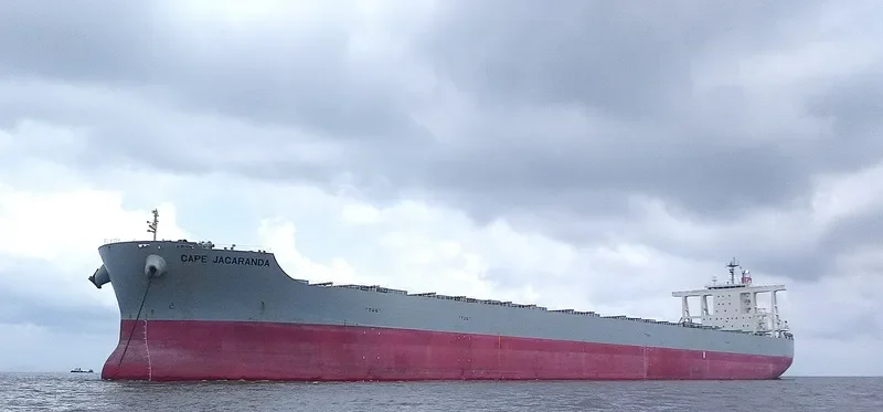 CAPE JACARANDA Bulk Carrier IMO 9446594 photo 6