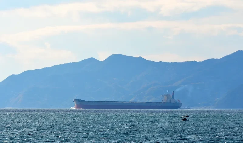 CAPE JACARANDA Bulk Carrier IMO 9446594 photo 7
