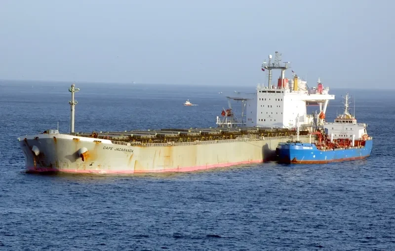 CAPE JACARANDA Bulk Carrier IMO 9446594 photo 8