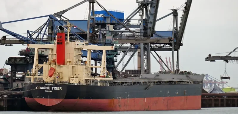 ORANGE TIGER Bulk Carrier IMO 9446611