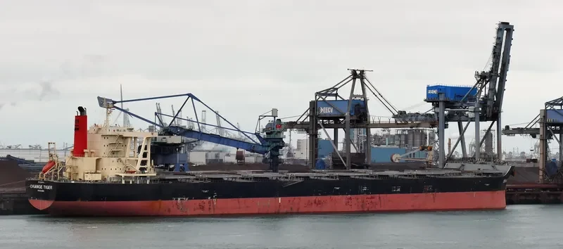 ORANGE TIGER Bulk Carrier IMO 9446611 photo 2
