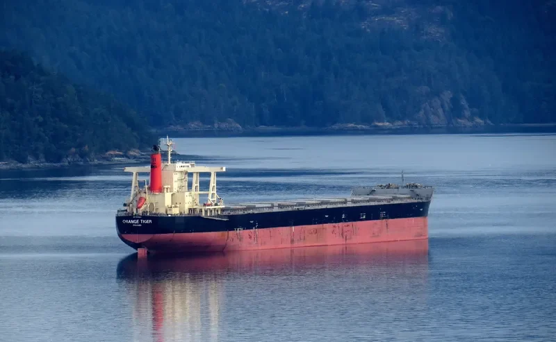 ORANGE TIGER Bulk Carrier IMO 9446611 photo 4