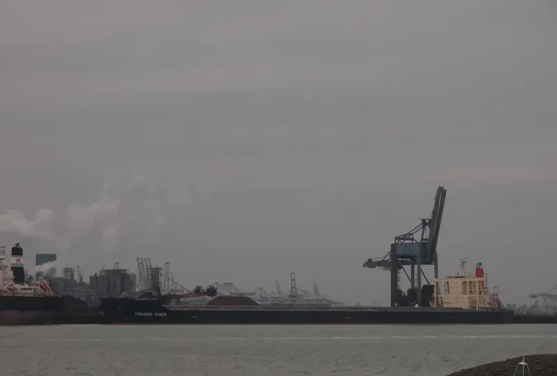 ORANGE TIGER Bulk Carrier IMO 9446611 photo 9