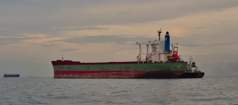 CAPE BUZZARD Bulk Carrier IMO 9446623