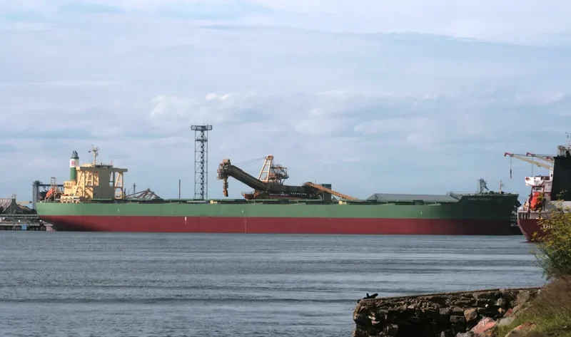 CAPE BUZZARD Bulk Carrier IMO 9446623 photo 7
