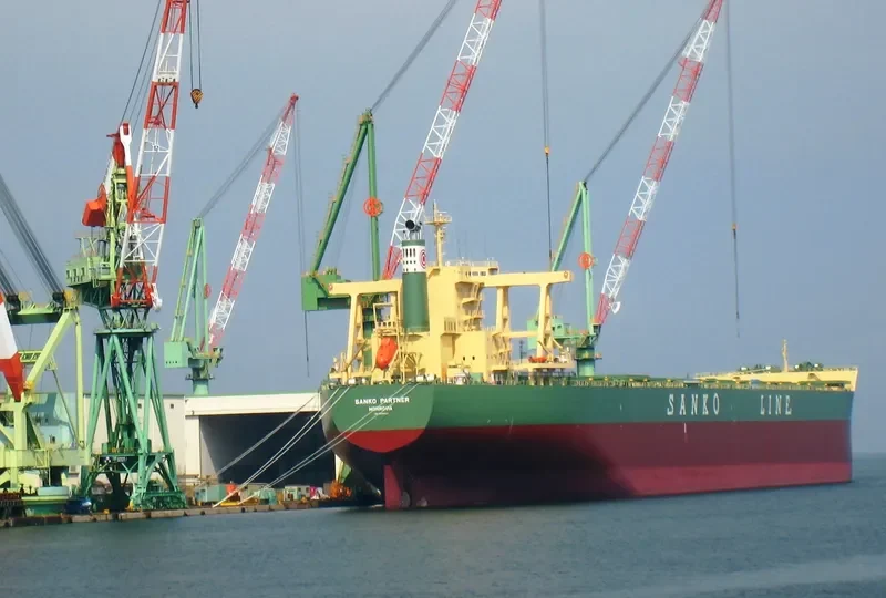 CAPE BUZZARD Bulk Carrier IMO 9446623 photo 9