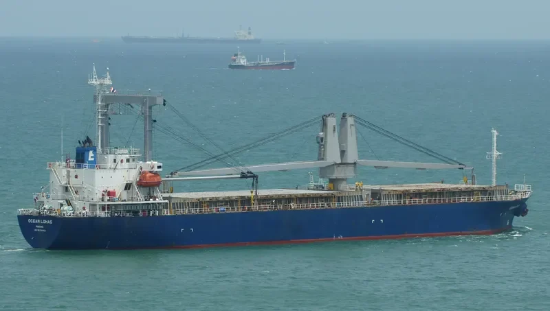MOUNT DAMPIER Bulk Carrier IMO 9446635 photo 2