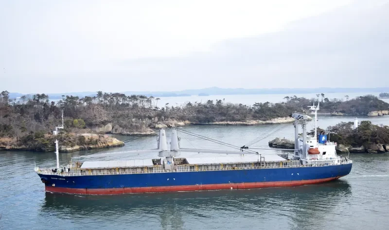 MOUNT DAMPIER Bulk Carrier IMO 9446635 photo 4