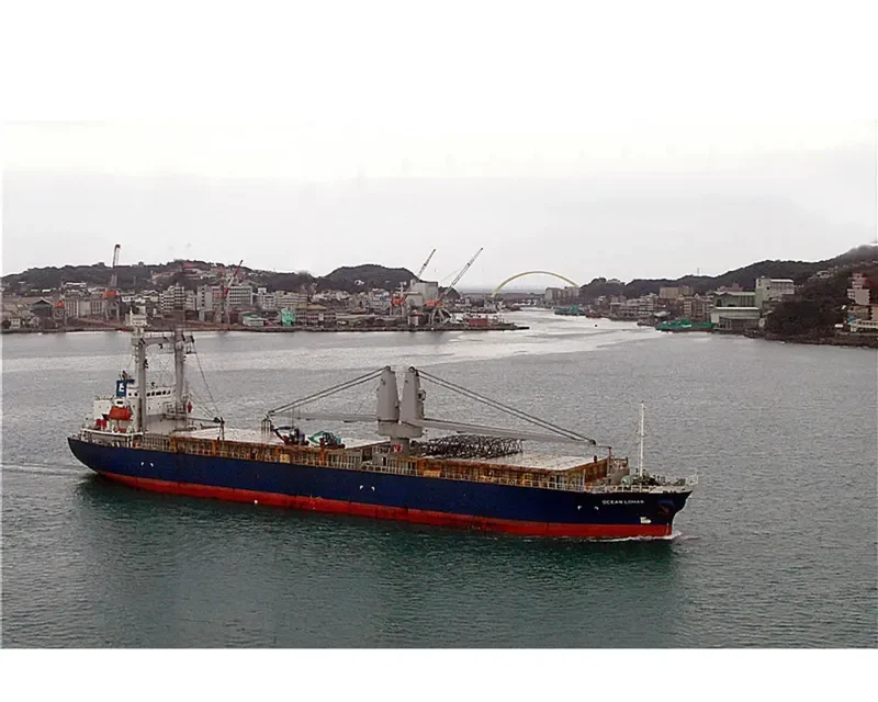 MOUNT DAMPIER Bulk Carrier IMO 9446635 photo 6