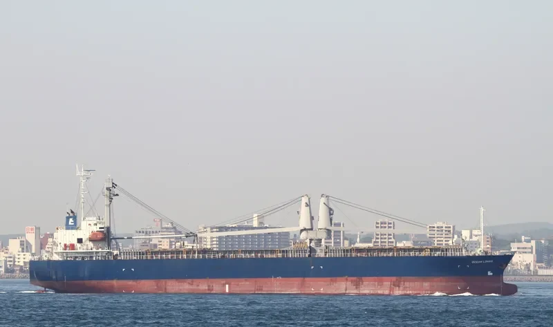 MOUNT DAMPIER Bulk Carrier IMO 9446635 photo 8