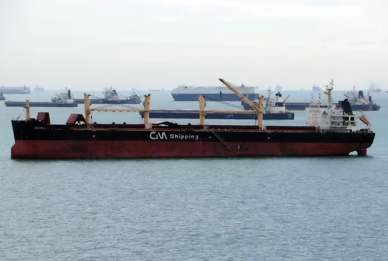 MALAK Bulk Carrier IMO 9446702 photo 3