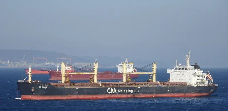 CHANG HANG YUAN HAI Bulk Carrier IMO 9446714 photo 7