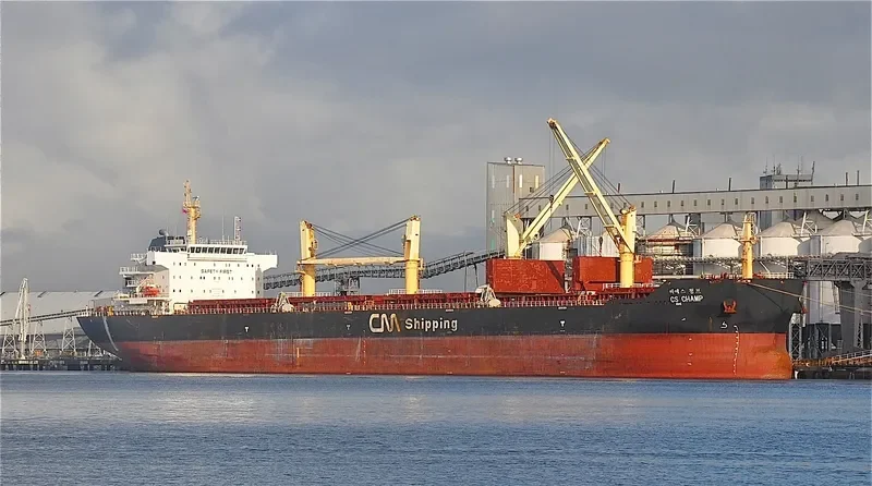CHANG HANG YUAN HAI Bulk Carrier IMO 9446714 photo 10