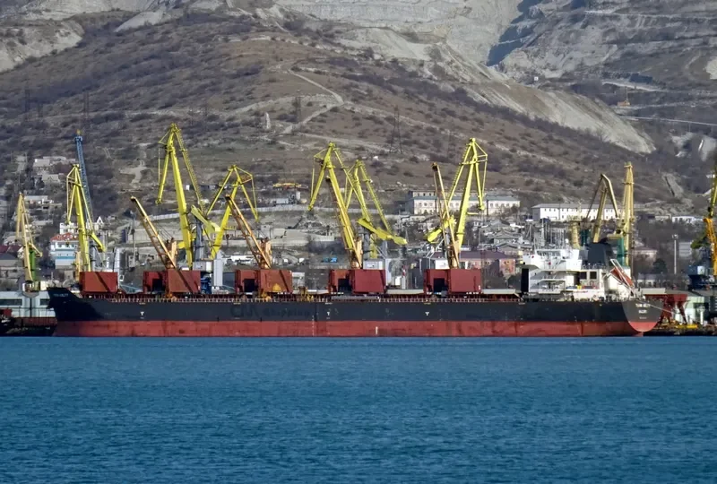 TOMINI ABILITY Bulk Carrier IMO 9446726 photo 2