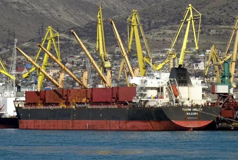 TOMINI ABILITY Bulk Carrier IMO 9446726 photo 4