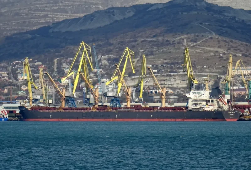 TOMINI ABILITY Bulk Carrier IMO 9446726 photo 5