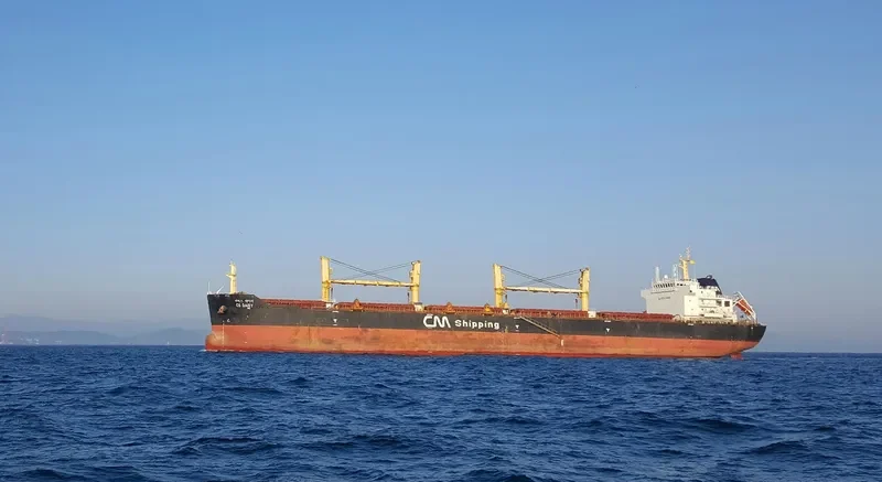TOMINI ABILITY Bulk Carrier IMO 9446726 photo 6