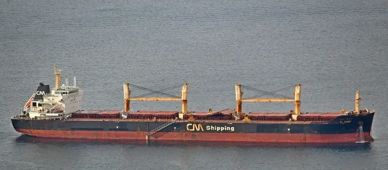 TOMINI ABILITY Bulk Carrier IMO 9446726 photo 7