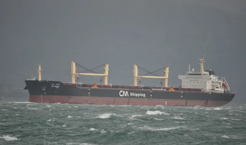 TOMINI ABILITY Bulk Carrier IMO 9446726 photo 8