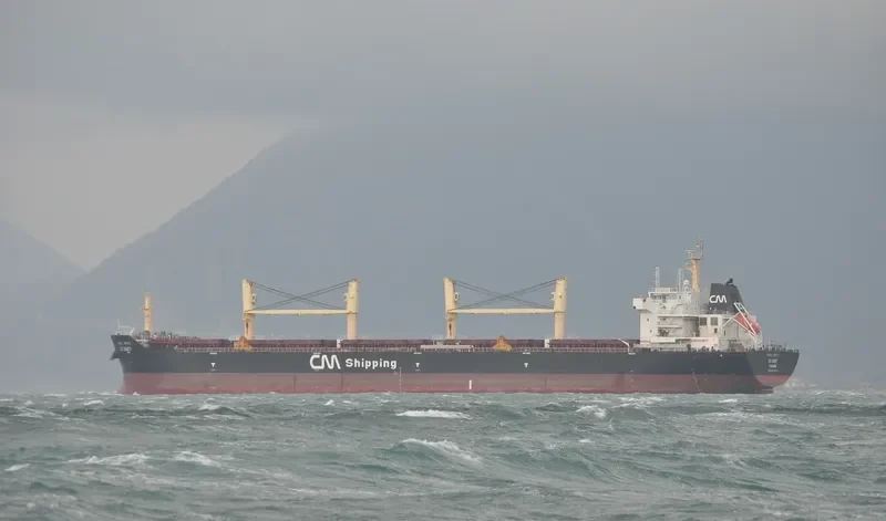 TOMINI ABILITY Bulk Carrier IMO 9446726 photo 9