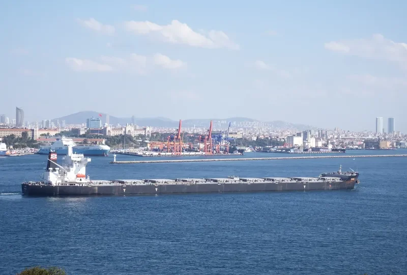 CARO Bulk Carrier IMO 9446879