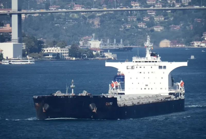 CARO Bulk Carrier IMO 9446879 photo 2