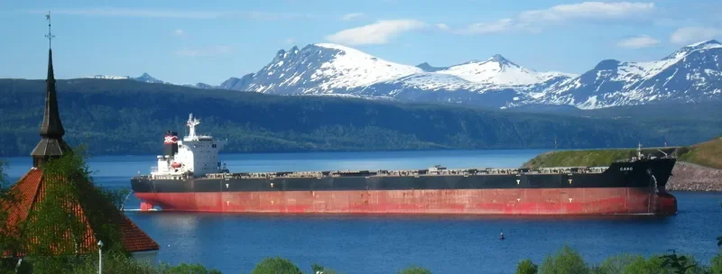 CARO Bulk Carrier IMO 9446879 photo 3