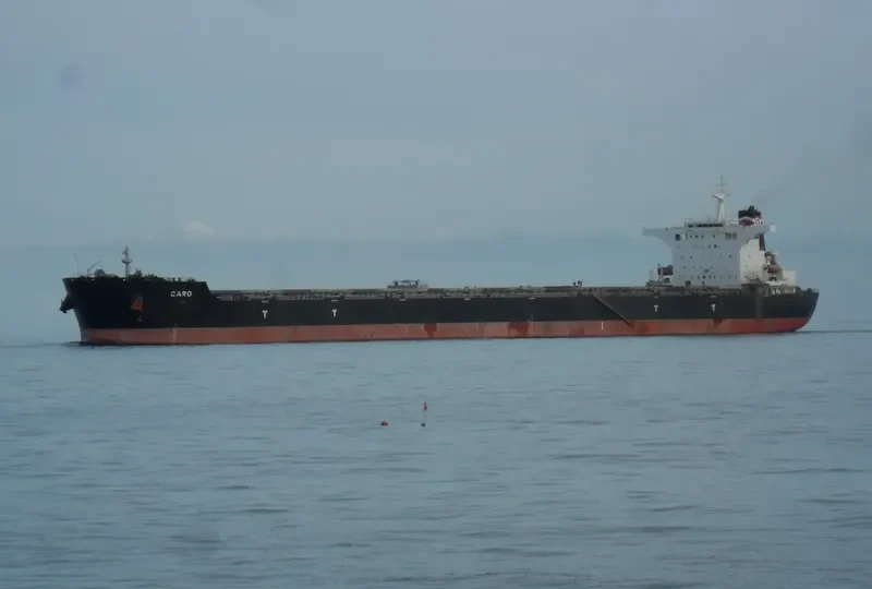 CARO Bulk Carrier IMO 9446879 photo 4