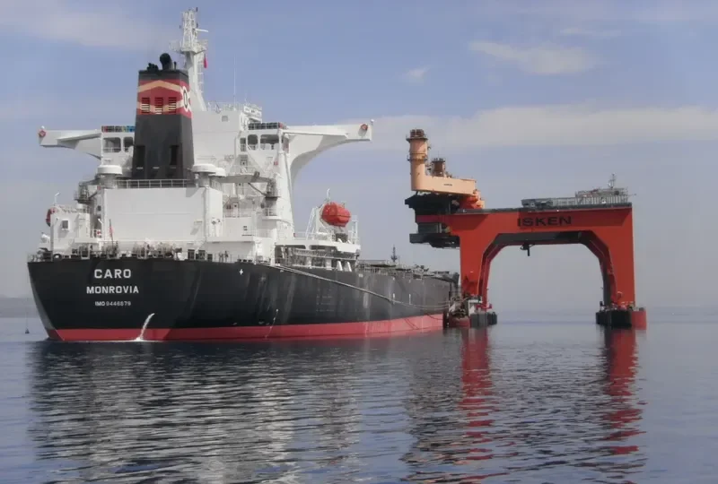 CARO Bulk Carrier IMO 9446879 photo 6