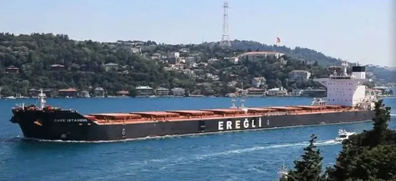 CAPE SANDRA Bulk Carrier IMO 9446908