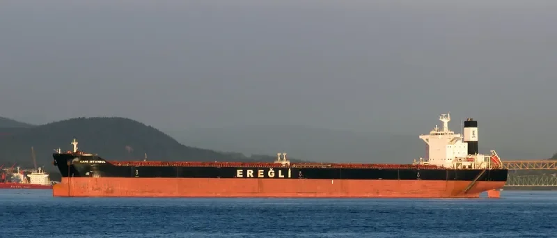 CAPE SANDRA Bulk Carrier IMO 9446908 photo 2
