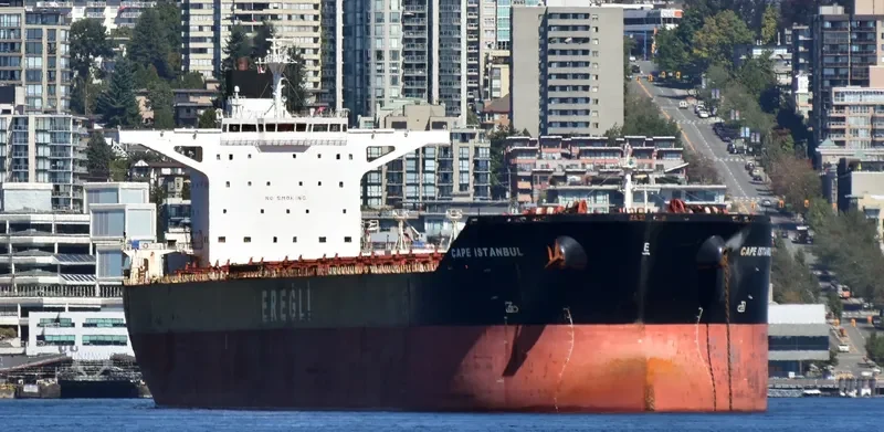 CAPE SANDRA Bulk Carrier IMO 9446908 photo 3
