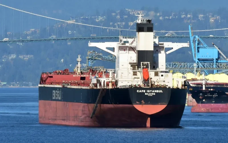 CAPE SANDRA Bulk Carrier IMO 9446908 photo 5