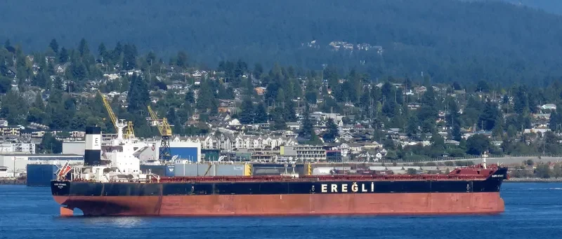 CAPE SANDRA Bulk Carrier IMO 9446908 photo 6