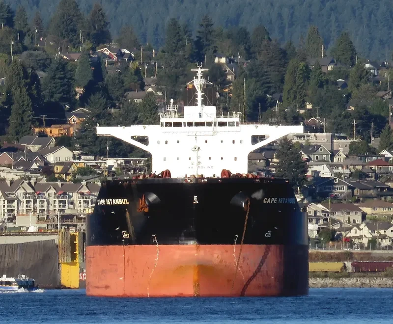 CAPE SANDRA Bulk Carrier IMO 9446908 photo 7