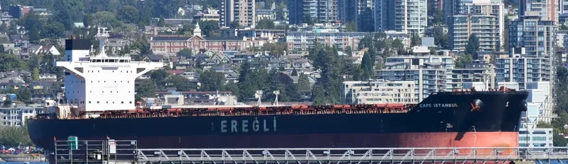 CAPE SANDRA Bulk Carrier IMO 9446908 photo 8