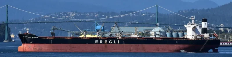 CAPE SANDRA Bulk Carrier IMO 9446908 photo 9