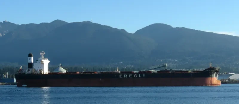 CAPE SANDRA Bulk Carrier IMO 9446908 photo 10