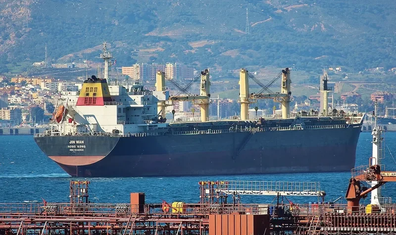 JIN WAN Bulk Carrier IMO 9446958 photo 7
