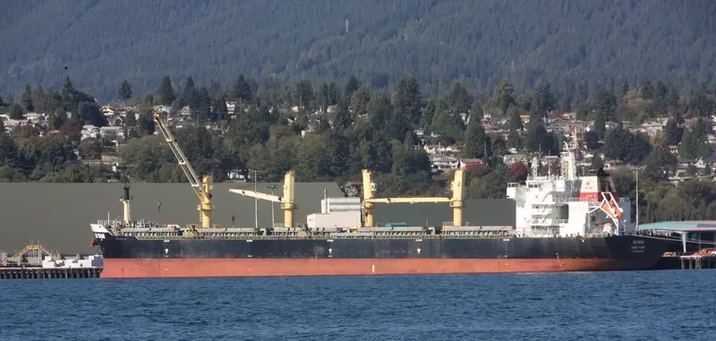 JIN WAN Bulk Carrier IMO 9446958 photo 8