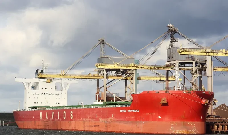 NAVIOS HAPPINESS Bulk Carrier IMO 9447005 photo 9