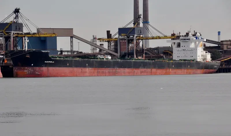 MARIPERLA Bulk Carrier IMO 9447017 photo 3