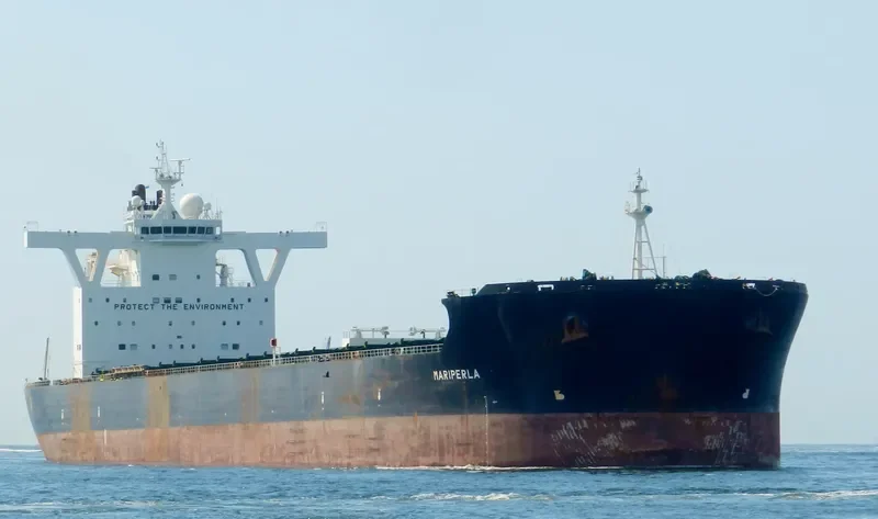 MARIPERLA Bulk Carrier IMO 9447017 photo 6
