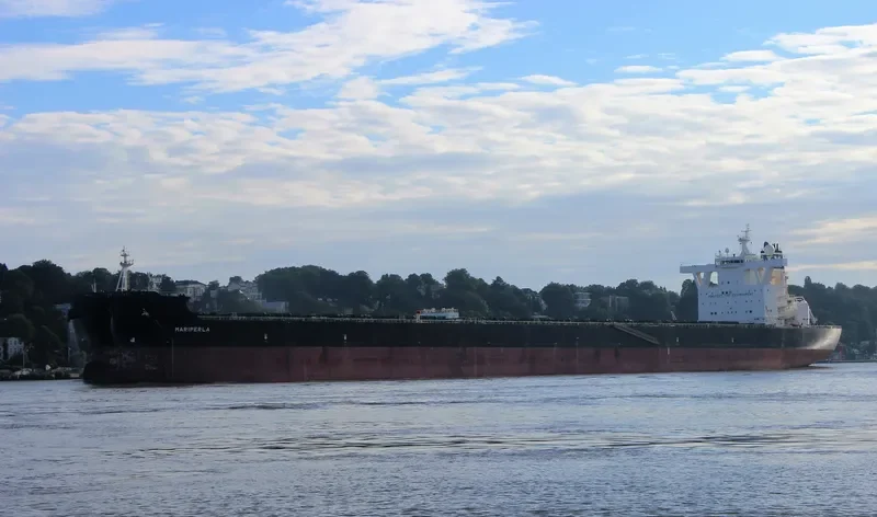 MARIPERLA Bulk Carrier IMO 9447017 photo 8