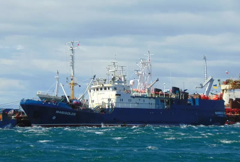 MARIGOLDS General Cargo IMO 9447110