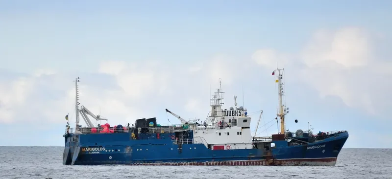 MARIGOLDS General Cargo IMO 9447110 photo 2