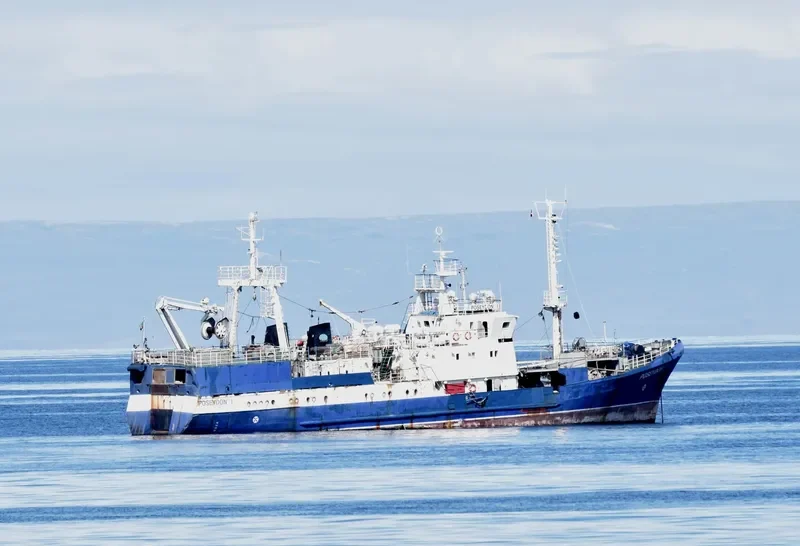 MARIGOLDS General Cargo IMO 9447110 photo 6