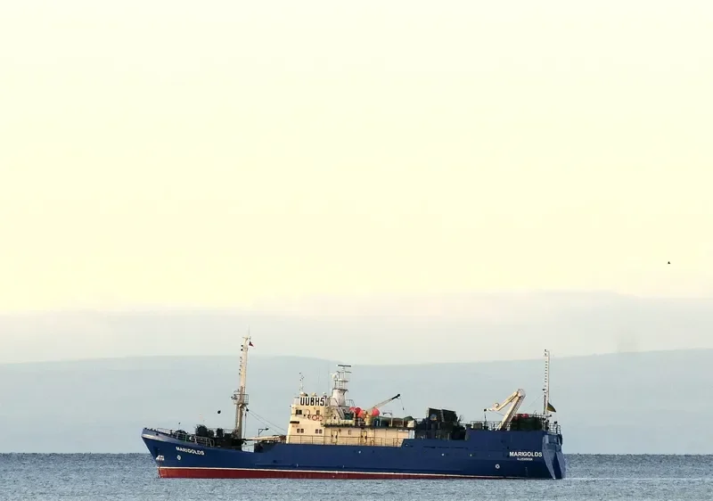 MARIGOLDS General Cargo IMO 9447110 photo 8